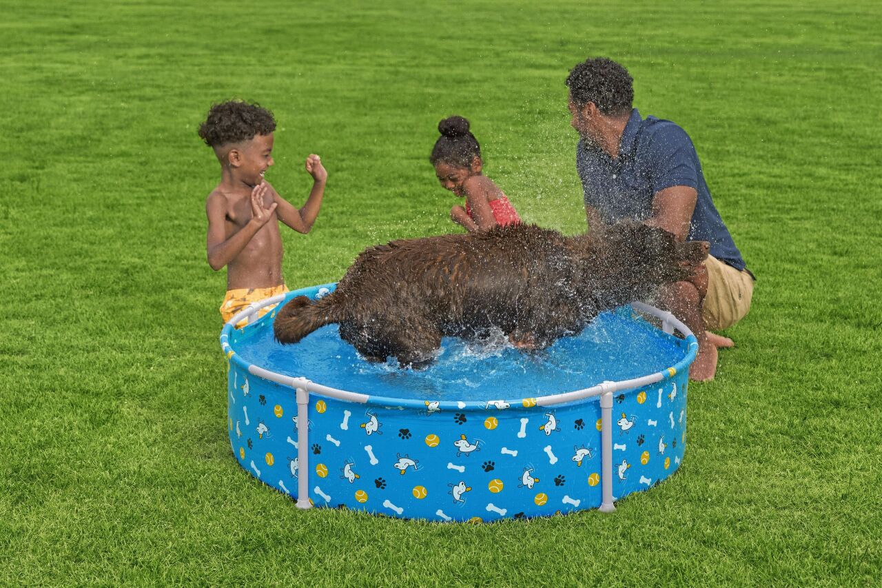 Bestway Kid & Pet Havuzlar: Çocuklar ve Evcil Dostlar İçin Güvenli Eğlence