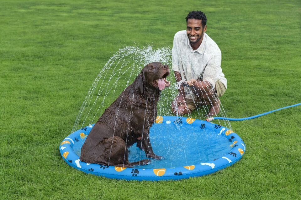 Bestway 52699® Fetchin' Fun™ Evcil Hayvan İçin Su Oyun Matı