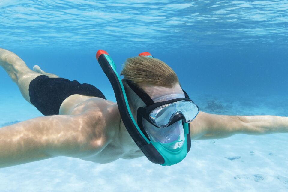 Bestway Flowtech Snorkel Mask L/XL,Adult 14+
