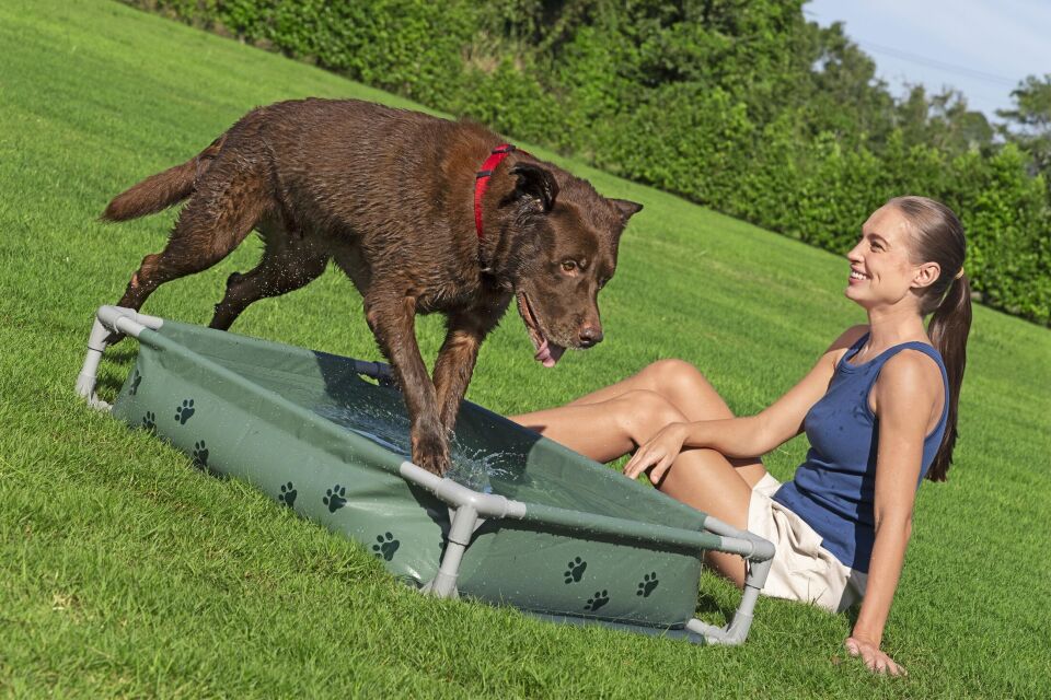 Bestway® 561RG 40'' x 29'' x 8''/1.02 m x 74 cm x 20 cm Fetchin' Fun Evcil Hayvan Oyun Havuzu ve Yükseltilmiş Yatak