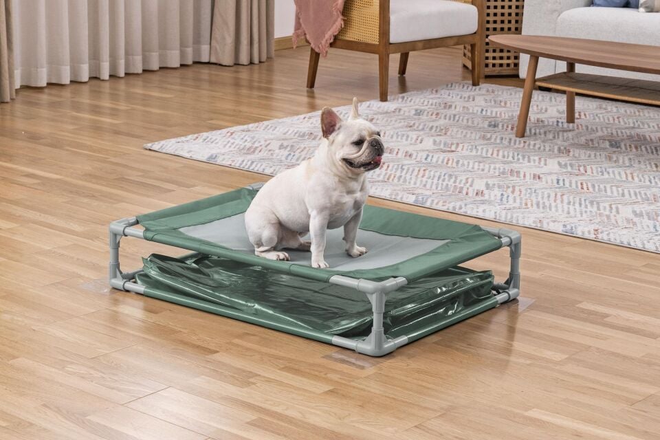 Bestway® 561RG 40'' x 29'' x 8''/1.02 m x 74 cm x 20 cm Fetchin' Fun Evcil Hayvan Oyun Havuzu ve Yükseltilmiş Yatak