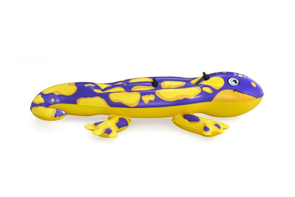 Bestway® 41502 Splashin' Salamander™ 2-Kişilik Binici